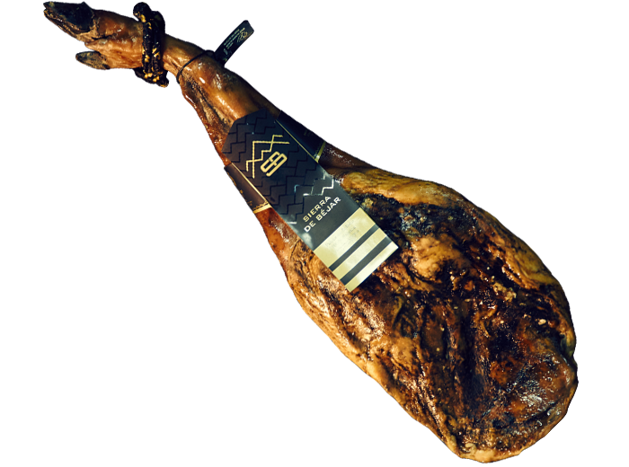 Paletas y jamones. Brida negra, verde y roja